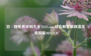 百釆网免费资料大全78222.com.综合解答解释落实_青铜版2024.11.07