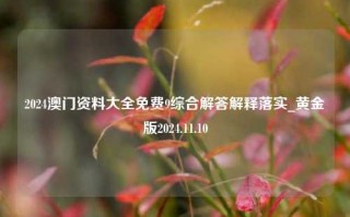 2024澳门资料大全免费9综合解答解释落实_黄金版2024.11.10