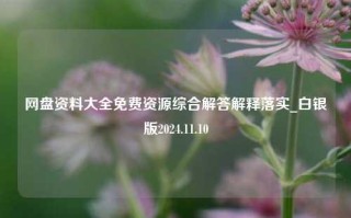 网盘资料大全免费资源综合解答解释落实_白银版2024.11.10