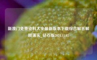 新澳门免费资料大全最新版本下载综合解答解释落实_钻石版2024.11.03