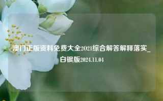 澳门正版资料免费大全2O21综合解答解释落实_白银版2024.11.04