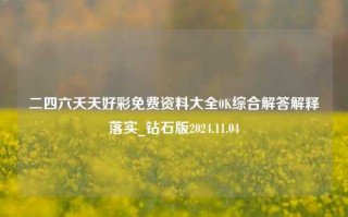 二四六夭天好彩免费资料大全0K综合解答解释落实_钻石版2024.11.04