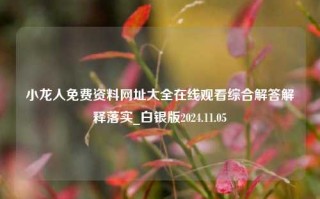 小龙人免费资料网址大全在线观看综合解答解释落实_白银版2024.11.05