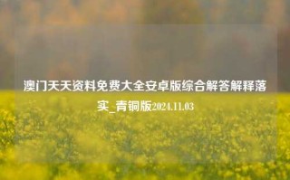 澳门天天资料免费大全安卓版综合解答解释落实_青铜版2024.11.03