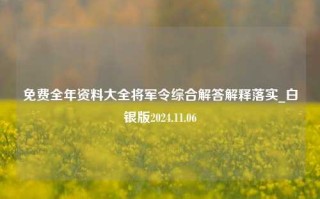 免费全年资料大全将军令综合解答解释落实_白银版2024.11.06