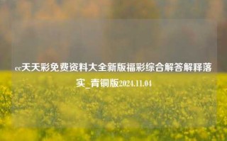 cc天天彩免费资料大全新版福彩综合解答解释落实_青铜版2024.11.04