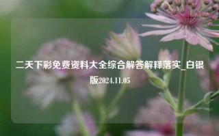 二天下彩免费资料大全综合解答解释落实_白银版2024.11.05