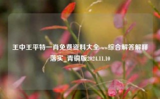 王中王平特一肖免费资料大全 ww综合解答解释落实_青铜版2024.11.10