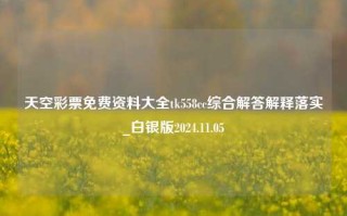 天空彩票免费资料大全tk558cc综合解答解释落实_白银版2024.11.05