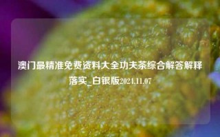 澳门最精准免费资料大全功夫茶综合解答解释落实_白银版2024.11.07