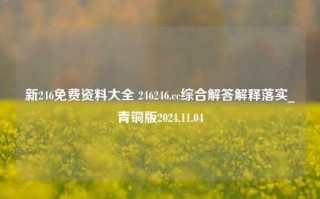 新246免费资料大全 246246.cc综合解答解释落实_青铜版2024.11.04