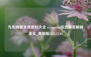 九龙肉慕免费资料大全 wrsug.com综合解答解释落实_青铜版2024.11.04