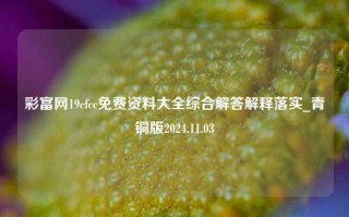 彩富网19cfcc免费资料大全综合解答解释落实_青铜版2024.11.03