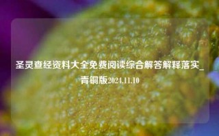 圣灵查经资料大全免费阅读综合解答解释落实_青铜版2024.11.10