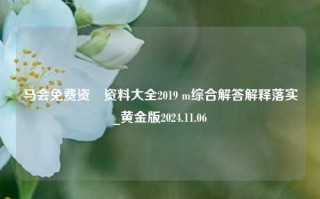 马会免费资枓资料大全2019 m综合解答解释落实_黄金版2024.11.06