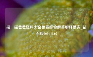 摇一摇爸爸资料大全免费综合解答解释落实_钻石版2024.11.07