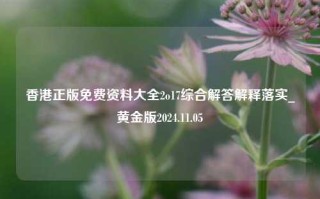 香港正版免费资料大全2o17综合解答解释落实_黄金版2024.11.05