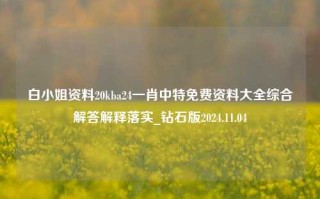 白小姐资料20kba24一肖中特免费资料大全综合解答解释落实_钻石版2024.11.04