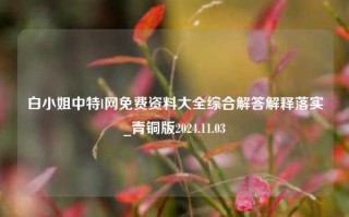 白小姐中特l网免费资料大全综合解答解释落实_青铜版2024.11.03