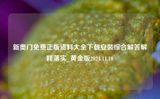 新奥门免费正版资料大全下载安装综合解答解释落实_黄金版2024.11.10