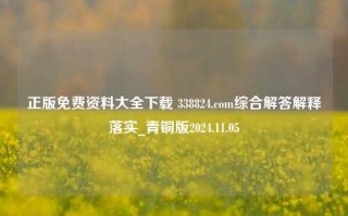 正版免费资料大全下载 338824.com综合解答解释落实_青铜版2024.11.05