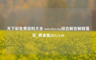 天下彩免费资料大全 www.ttxc.org综合解答解释落实_黄金版2024.11.06