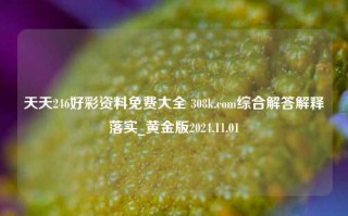 天天246好彩资料免费大全 308k.com综合解答解释落实_黄金版2024.11.01