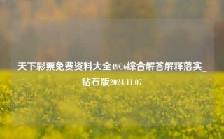 天下彩票免费资料大全49C6综合解答解释落实_钻石版2024.11.07