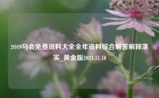 2O19马会免费资料大全全年资料综合解答解释落实_黄金版2024.11.10