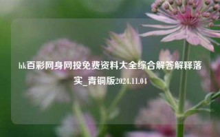 hk百彩网身网投免费资料大全综合解答解释落实_青铜版2024.11.04