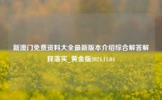 新澳门免费资料大全最新版本介绍综合解答解释落实_黄金版2024.11.04