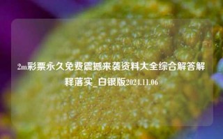 2m彩票永久免费震撼来袭资料大全综合解答解释落实_白银版2024.11.06