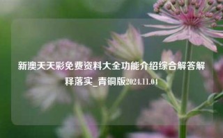 新澳天天彩免费资料大全功能介绍综合解答解释落实_青铜版2024.11.04