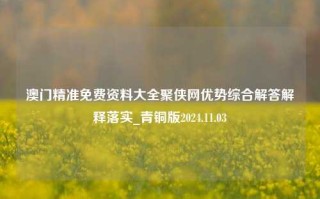 澳门精准免费资料大全聚侠网优势综合解答解释落实_青铜版2024.11.03