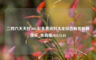 二四六天天好308k彩免费资料大全综合解答解释落实_青铜版2024.11.01