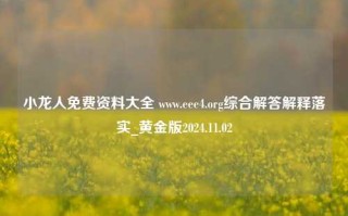 小龙人免费资料大全 www.eee4.org综合解答解释落实_黄金版2024.11.02