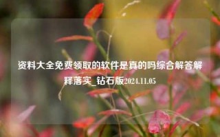 资料大全免费领取的软件是真的吗综合解答解释落实_钻石版2024.11.05