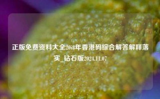 正版免费资料大全20i8年香港码综合解答解释落实_钻石版2024.11.07