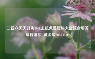 二四六天天好彩308k玄机免费资料大全综合解答解释落实_黄金版2024.11.09