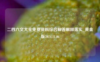 二四六文大全免费资料综合解答解释落实_黄金版2024.11.06