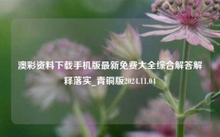 澳彩资料下载手机版最新免费大全综合解答解释落实_青铜版2024.11.04