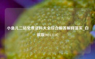 小鱼儿二站免费资料大全综合解答解释落实_白银版2024.11.07