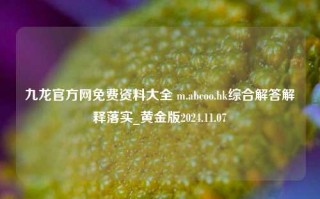 九龙官方网免费资料大全 m.abcoo.hk综合解答解释落实_黄金版2024.11.07