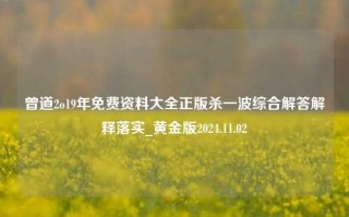 曾道2o19年免费资料大全正版杀一波综合解答解释落实_黄金版2024.11.02