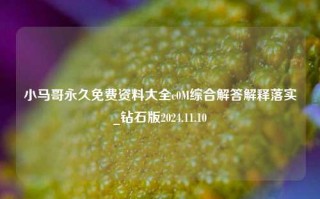 小马哥永久免费资料大全c0M综合解答解释落实_钻石版2024.11.10