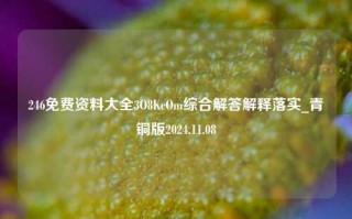 246免费资料大全3O8KcOm综合解答解释落实_青铜版2024.11.08