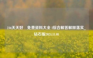 246天天好釆免费资料大全 l综合解答解释落实_钻石版2024.11.08