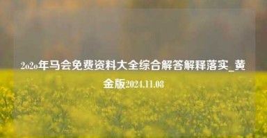 2o2o年马会免费资料大全综合解答解释落实_黄金版2024.11.08