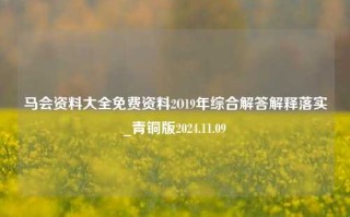 马会资料大全免费资料2O19年综合解答解释落实_青铜版2024.11.09