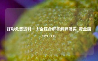 好彩免费资料一大全综合解答解释落实_黄金版2024.11.07